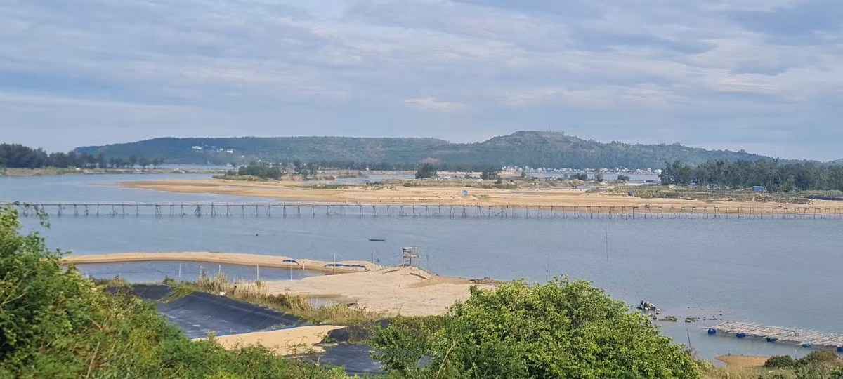 Den xu “hoa vang co xanh”, ngam cay cau go dai nhat Viet Nam