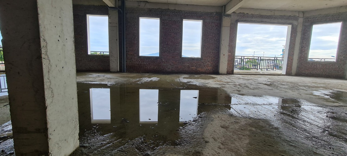 Tất cả đều trong cảnh vườn không nhà trống.