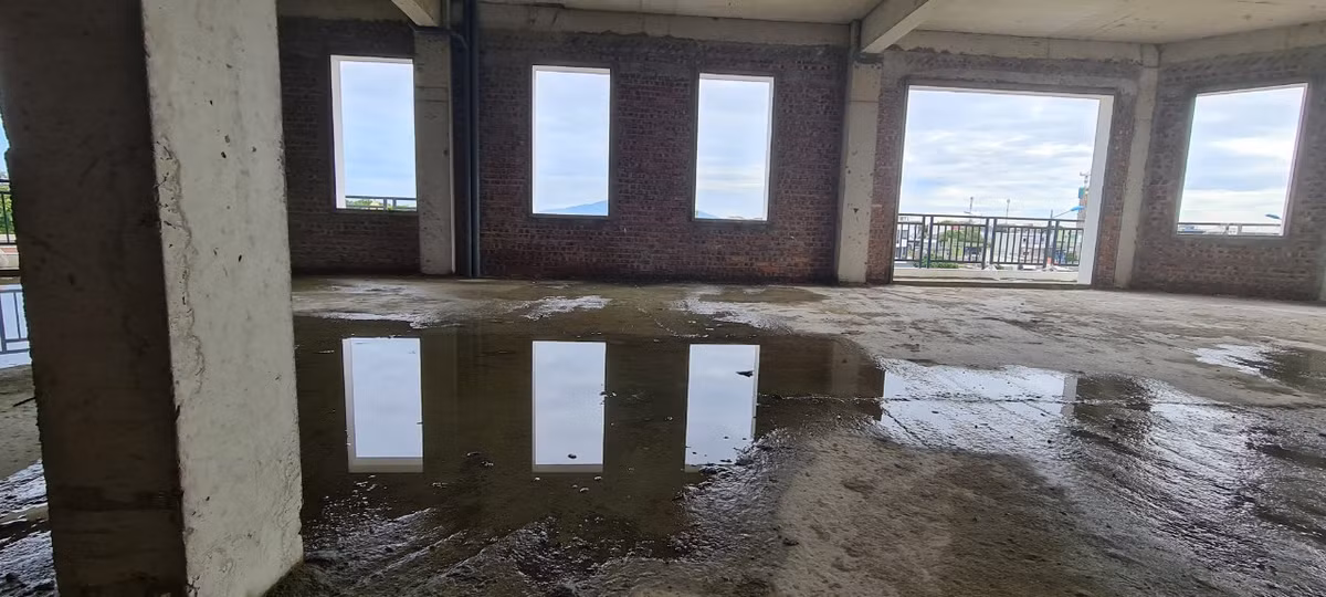 Tất cả đều trong cảnh vườn không nhà trống.