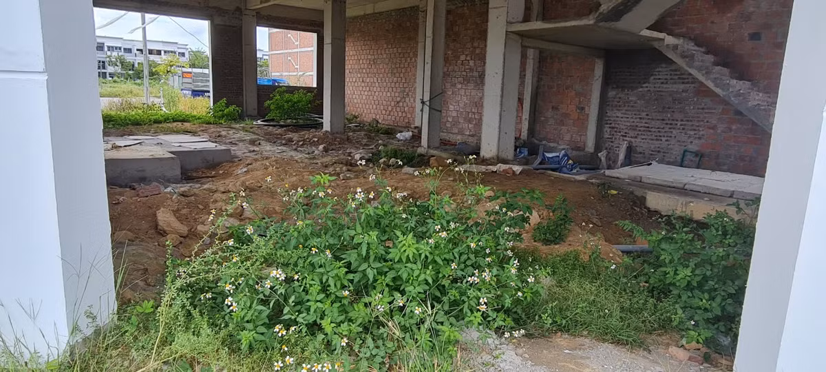 Khó có thể hình dung những tiện ích đẳng cấp và thời thượng của khu đô thị với không gian sống vô cùng thông thoáng, trong lành, được bao quanh bởi sông nước như từng được giới thiệu.