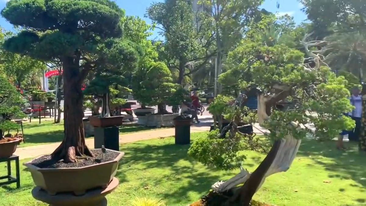 Tùng cùng với bộ 3 hợp thành bộ tứ Tùng - Cúc - Trúc - Mai thể hiện khí chất của bậc trượng phu, của đấng nam nhi với sức mạnh và sự cương trực, ý chí và bản lĩnh của bậc trung kiên, đấng trượng phu.