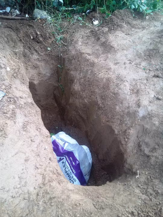 Chong giet vo chon xac roi viet thu tuyet menh tu tu-Hinh-2