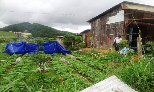 Chong giet vo chon xac roi viet thu tuyet menh tu tu