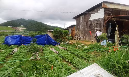 Chong giet vo chon xac roi viet thu tuyet menh tu tu