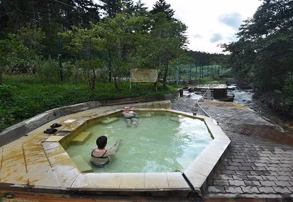 Quần đảo Kuril rất đa dạng về hệ thực vật và động vật. Nơi đây giống như một khu vườn sinh thái khổng lồ.