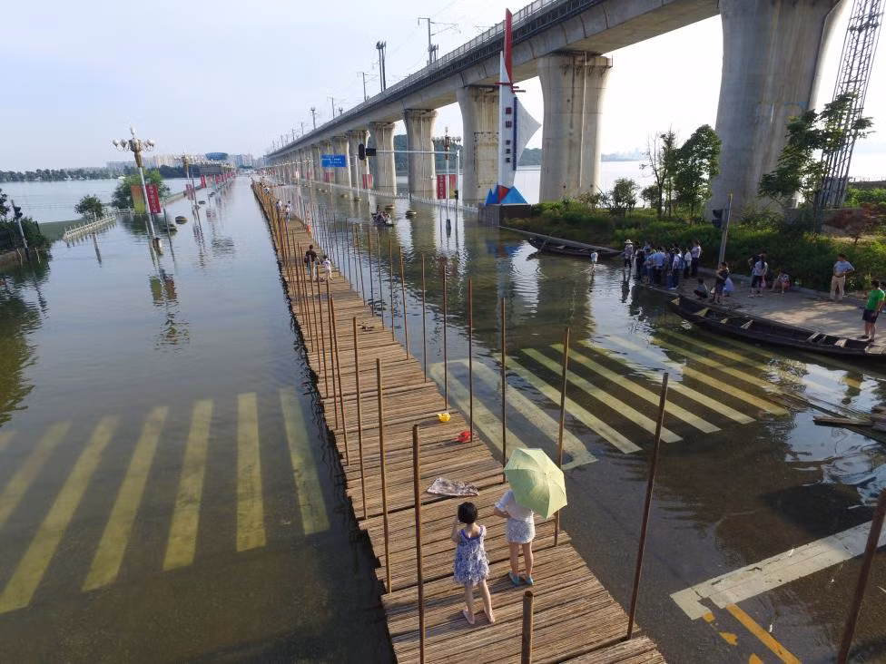 Can canh nhung cay cau an tuong o Trung Quoc-Hinh-7