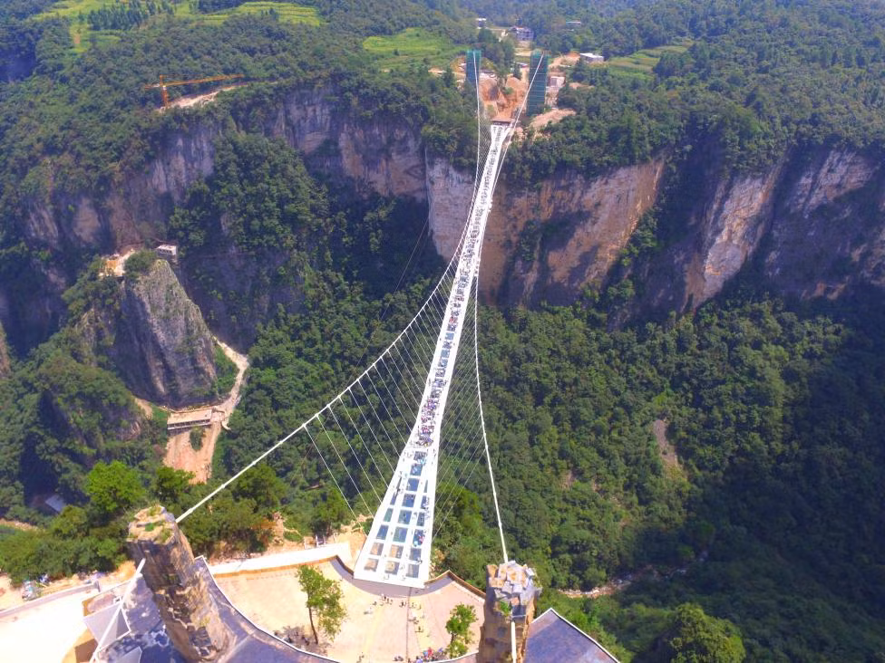 Can canh nhung cay cau an tuong o Trung Quoc-Hinh-9