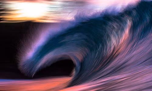 (ảnh: mattburgessphoto.com/Bored Panda).