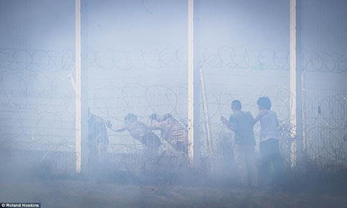 Chum anh hon loan tai trai ti nan Jungle o Phap-Hinh-9