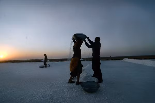 Tuy nhiên, dù làm việc vất vả trong điều kiện khắc nghiệt nhưng cuộc sống của những người dân Agariya làm nghề muối vẫn vô cùng khó khăn.