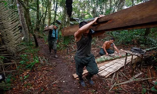 Việc ký kết thỏa thuận hòa bình lịch sử giữa lực lượng FARC và chính phủ Colombia sẽ diễn ra vào ngày 26/9 tới. Ảnh: Các chiến binh FARC xây nhà mới gần El Diamante, Yari Plains, để chuẩn bị cho sự kiện ký kết thỏa thuận giúp chấm dứt cuộc nội chiến khiến hơn 220 nghìn người thiệt mạng suốt nhiều năm qua.