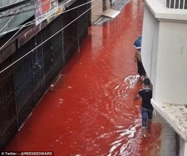 Can canh “dong song mau” tren duong pho thu do Dhaka-Hinh-4