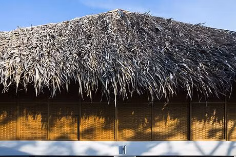 Nhìn từ góc độ này, ngôi nhà không khác gì những căn nhà ba gian truyền thống với mái lá dừa và tường liếp tre. Ảnh: Dân Việt