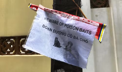 TPHCM: Dang dieu tra vu hang loat cho cua nguoi nuoc ngoai bi dau doc-Hinh-3