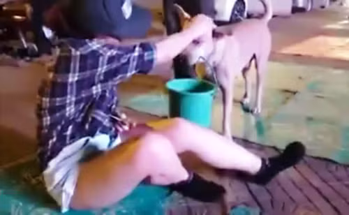 Su that clip “Cho xach xo di an xin cung chu” o Sai Gon-Hinh-2