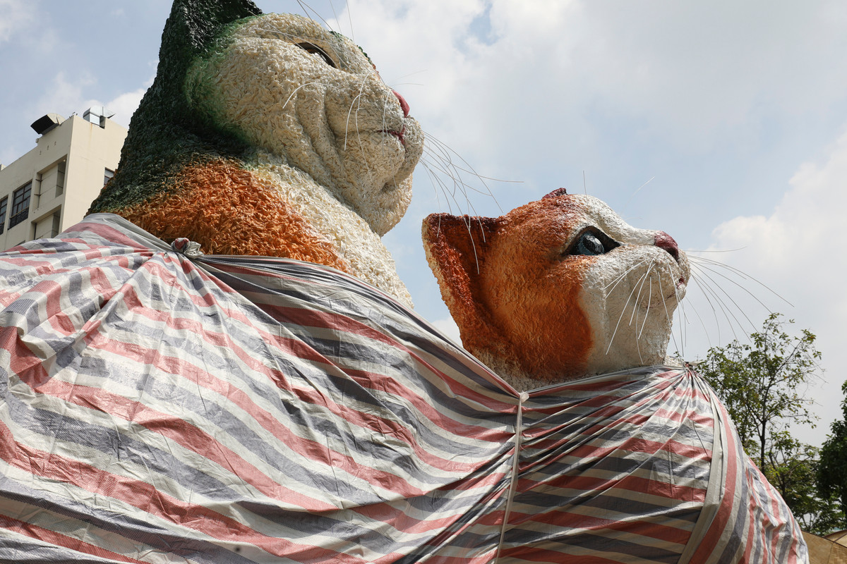 Sáu linh vật ở cổng Đường hoa có chiều cao từ 0,8-4,5 m, được tạo hình bằng xốp, sơn mỹ thuật bề mặt giả gốm. Các linh vật đại diện cho năm Quý Mão tại vị trí cổng chính không chỉ mang nét biểu cảm đáng yêu của mèo, mà còn thể hiện những cử động đặc trưng như liếm tay (chân trước), vươn tay, đẩy bát. Đặc điểm đáng yêu này chắc chắn sẽ thu hút nhiều du khách nhỏ tuổi.