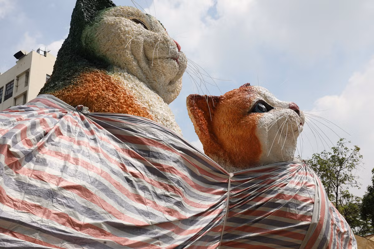 Sáu linh vật ở cổng Đường hoa có chiều cao từ 0,8-4,5 m, được tạo hình bằng xốp, sơn mỹ thuật bề mặt giả gốm. Các linh vật đại diện cho năm Quý Mão tại vị trí cổng chính không chỉ mang nét biểu cảm đáng yêu của mèo, mà còn thể hiện những cử động đặc trưng như liếm tay (chân trước), vươn tay, đẩy bát. Đặc điểm đáng yêu này chắc chắn sẽ thu hút nhiều du khách nhỏ tuổi.