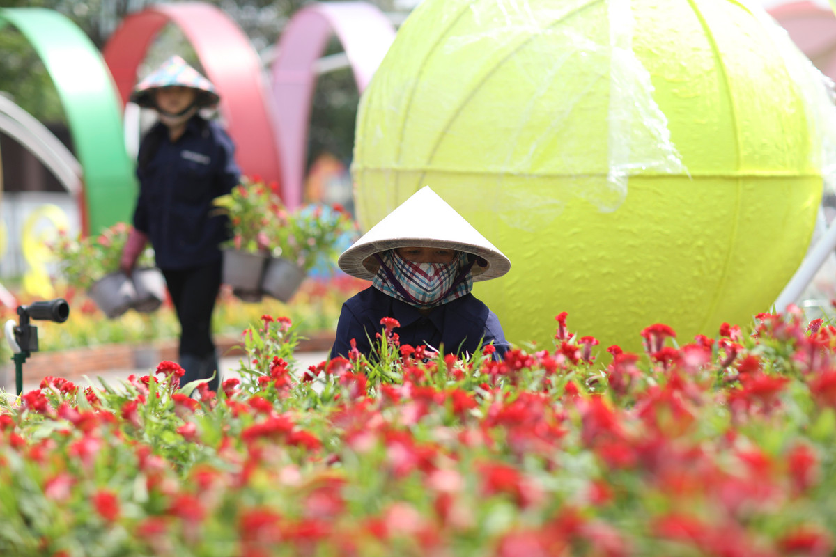 Nhiều loại hoa được tập kết, các công nhân sắp xếp vào các vị trí theo thiết kế.