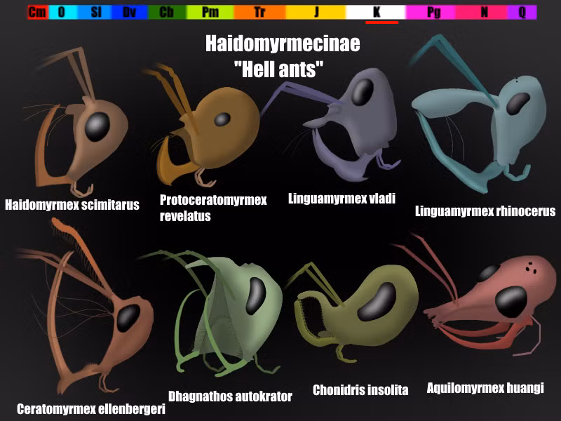 Nhờ công nghệ chụp cắt lớp, các nhà nghiên cứu đã tạo ra mô hình 3D chi tiết, cho thấy nhiều đặc điểm chưa từng thấy ở loài kiến hiện đại.(Ảnh: novataxa)