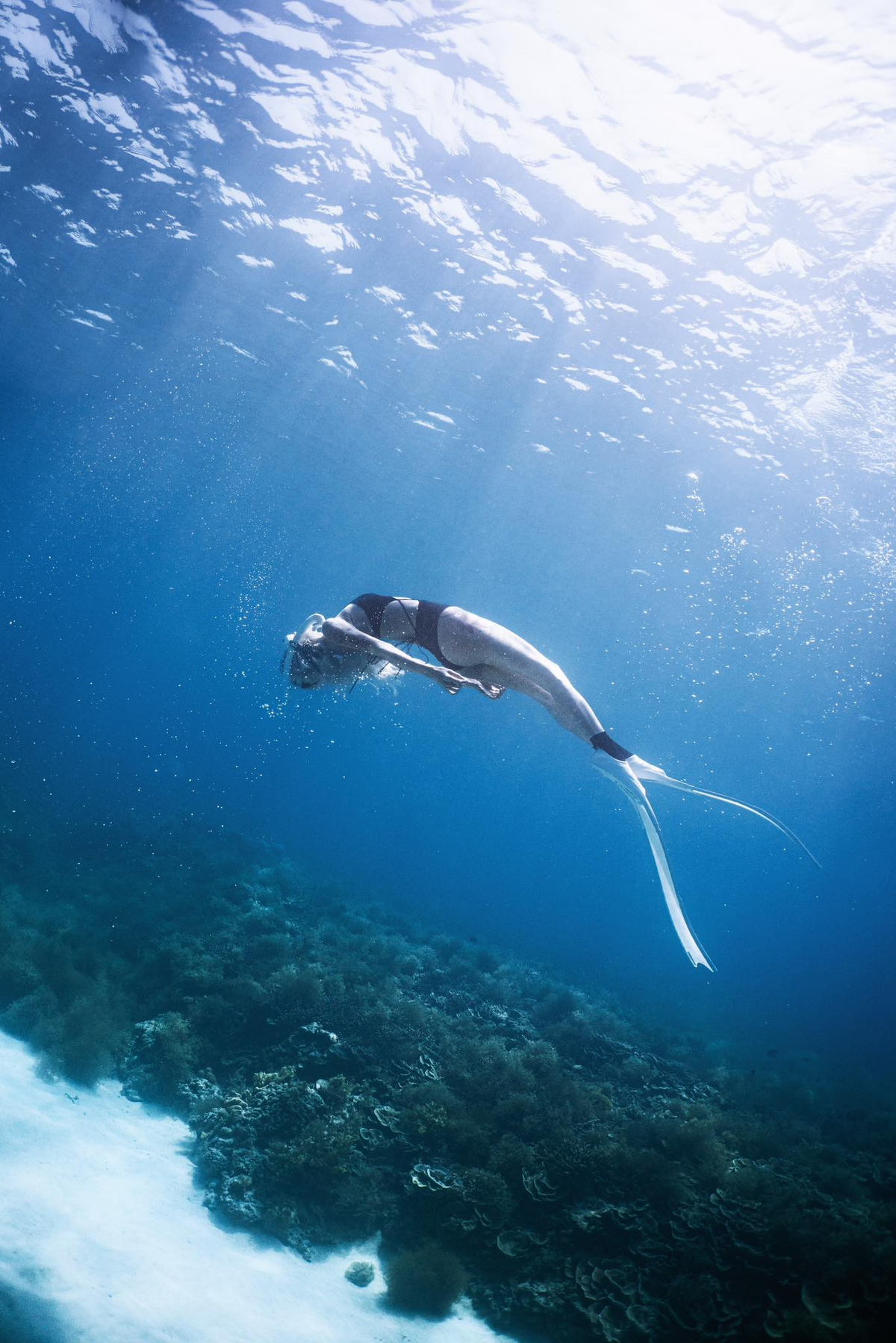 Mới đây, cô cũng khoe ảnh lặn biển cực đẹp khiến fan phải khen ngợi "ngắm là mê".