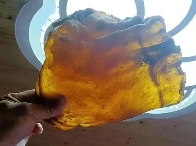 Ông Xu - ngư dân ở quần đảo Zhou Shan (Trung Quốc) - tình cờ tìm thấy bong bóng cá khô 50 năm tuổi khi dọn dẹp thùng gạo cũ năm 2022.