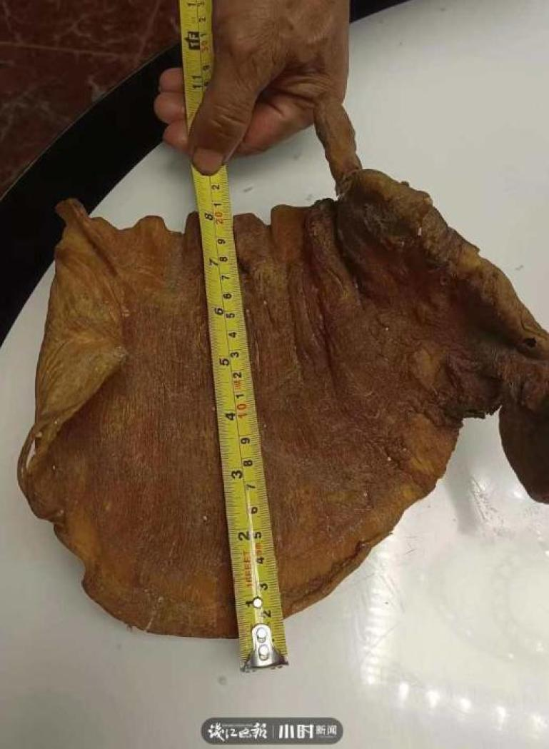 Tại Quảng Đông và Hong Kong, bong bóng cá loại này có giá 6-8 triệu NDT/kg (20-27 tỷ đồng), ước tính miếng của ông Xu đáng giá một căn nhà.