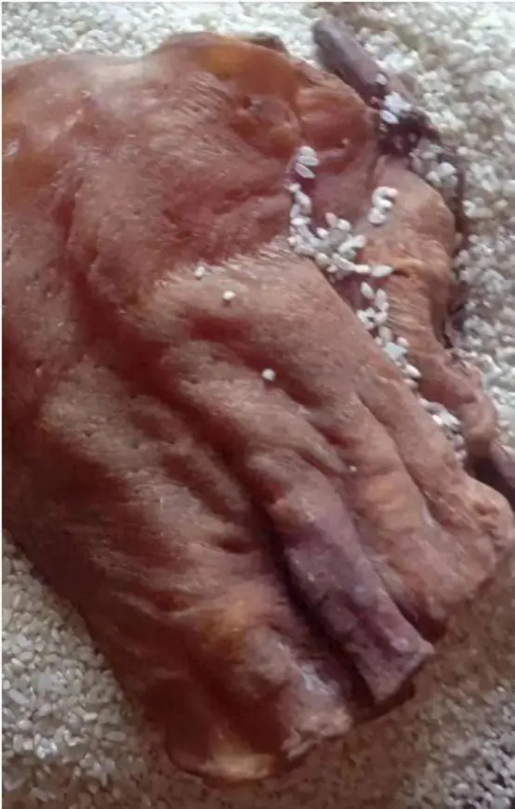  Báu vật này do cha ông mua từ năm 1972 với giá 40 NDT (tương đương hàng chục triệu đồng hiện nay) từ con cá Mao Chang nặng hơn 50kg.