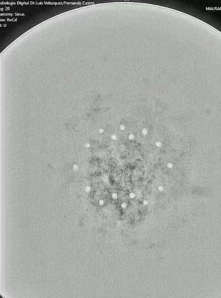 Giới khoa học cho biết cần thêm thời gian để xác định vật liệu và chức năng của quả cầu, nhưng không loại trừ khả năng liên quan đến nền văn minh ngoài hành tinh.(Ảnh: newsbomb)