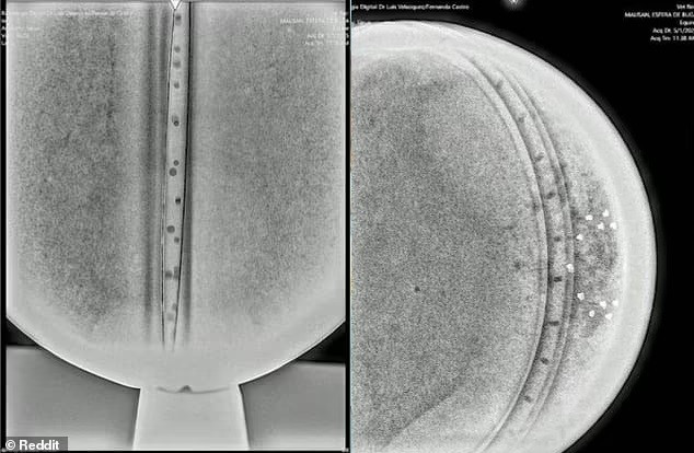 Dùng AI giải mã, các nhà nghiên cứu thu được thông điệp triết học sâu sắc, kêu gọi con người thay đổi nhận thức để bảo vệ Trái Đất – như một lời nhắn từ trí tuệ ngoài Trái Đất.(Ảnh: Daily Mail)