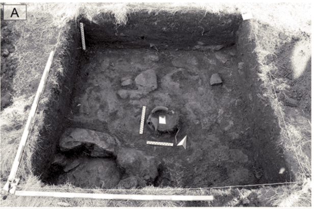 Một số hiện vật có hình dáng kỳ lạ, được cho là dành cho tầng lớp chiến binh hoặc người có địa vị cao.(Ảnh: geeknauta)