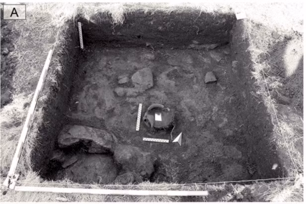 Một số hiện vật có hình dáng kỳ lạ, được cho là dành cho tầng lớp chiến binh hoặc người có địa vị cao.(Ảnh: geeknauta)