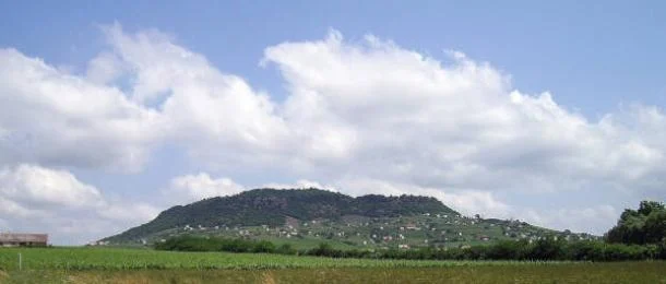 Các hiện vật bao gồm đồ trang sức, vũ khí, đồ trang trí quân sự, răng nanh heo rừng, hổ phách, vải và da.(Ảnh: ancient-origins)