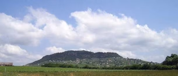 Các hiện vật bao gồm đồ trang sức, vũ khí, đồ trang trí quân sự, răng nanh heo rừng, hổ phách, vải và da.(Ảnh: ancient-origins)