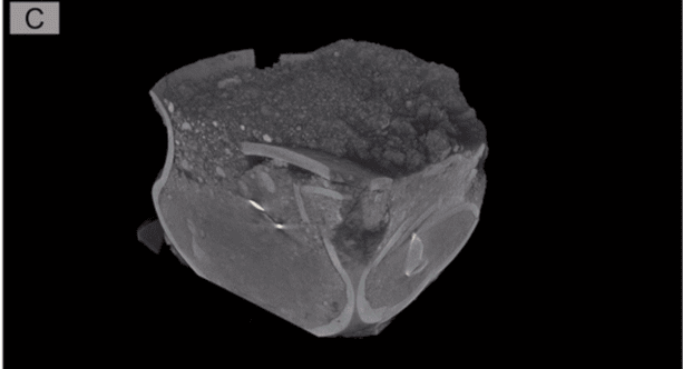 Ngọn đồi này từng là nơi tìm thấy các mộ chiến binh và người ưu tú, chôn cùng nhiều vật phẩm quý.(Ảnh: geeknauta)