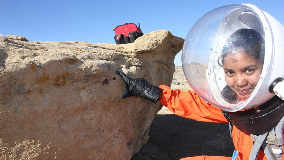 Điều này cho thấy địa y có thể thích nghi với môi trường cực đoan ngoài Trái Đất, đặc biệt là dưới lòng đất Sao Hỏa.(Ảnh: Pensoft blog)