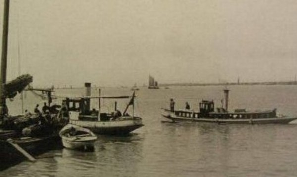 Họ chăm sóc nó bằng cách che nắng và tưới nước. Sau nhiều ngày mưa tiếp theo, sinh vật này biến mất, nhưng hơn 20 ngày sau, một xác rồng có mùi hôi khó chịu được phát hiện cách đó 10km.