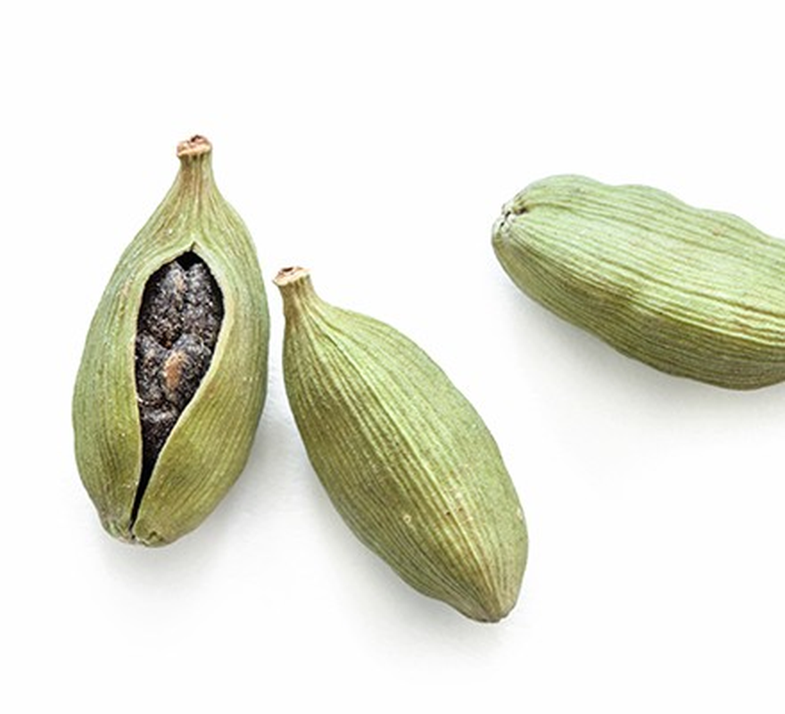 Bạch đậu khấu có tên khoa học là Amomum cardamomum L., thuộc họ Gừng (Zingiberaceae). Loại cây này mọc tự nhiên và được trồng rộng rãi ở nhiều nơi như Việt Nam, Thái Lan, Lào và Nam Mỹ (Ảnh: BBC Good Food)