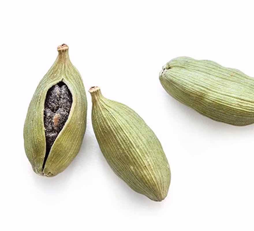 Bạch đậu khấu có tên khoa học là Amomum cardamomum L., thuộc họ Gừng (Zingiberaceae). Loại cây này mọc tự nhiên và được trồng rộng rãi ở nhiều nơi như Việt Nam, Thái Lan, Lào và Nam Mỹ (Ảnh: BBC Good Food)