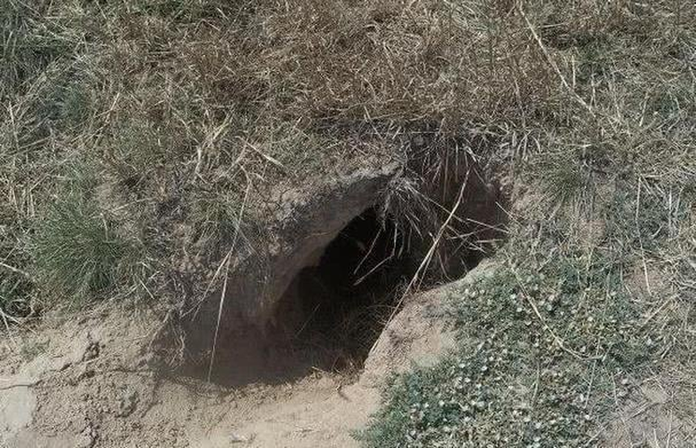 Nguyên nhân bất ngờ được phát hiện là do bọn trộm mộ dùng thuốc nổ đào bới để tìm cổ vật. (Ảnh: Sohu)