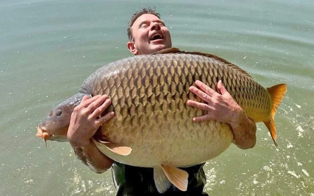 David Knock, một du khách từ Essex, Anh, đã bất ngờ câu được một con cá chép khổng lồ nặng 47,8kg tại ngư trường Euro Aqua, hồ Balaton, Hungary. Phát hiện này khiến ông run rẩy vì sợ đánh mất con cá quý giá. (Ảnh: telegraph)