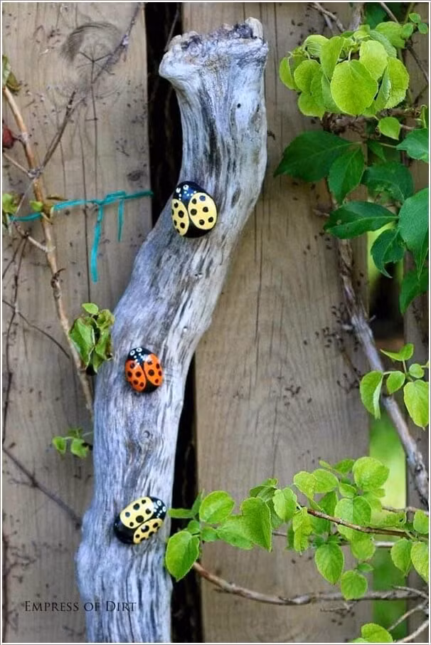 Bọ cánh cam từ đá trang trí vườn tược.