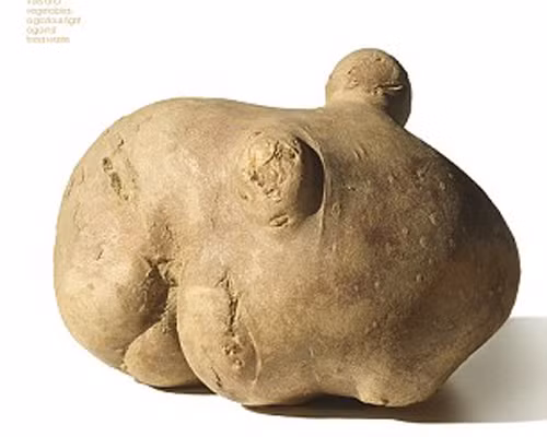 Nó không chỉ giúp khách hàng tiết kiệm hóa đơn đến 30% mà còn tăng doanh thu lớn cho siêu thị.