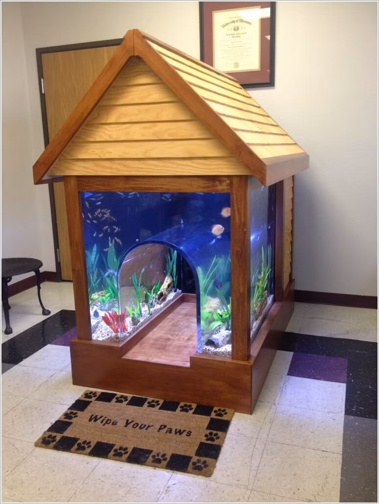  Bể cá cảnh đẹp này chính là một ngôi nhà nhỏ dành cho chú cún cưng của bạn.
