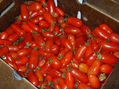 Trên các trang mạng rao bán trực tuyến, giá của giống cà chua này cũng không hề rẻ: Một túi 20 hạt giống có giá khoảng 50.000 đồng.