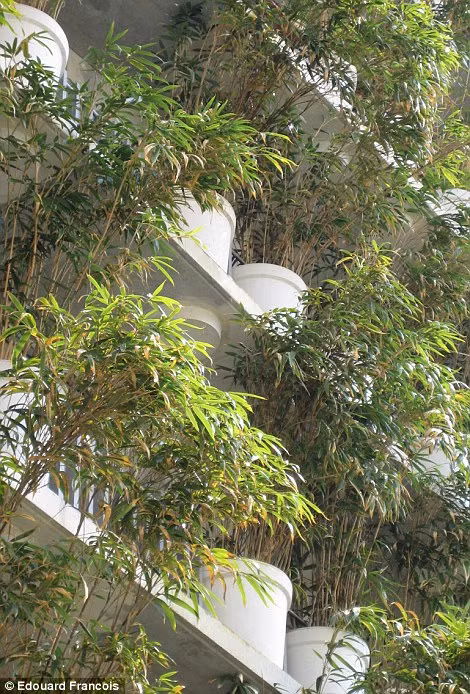 Đồng thời khi có gió thổi, những khóm trúc sẽ tạo ra âm thanh xào xạc dễ chịu.