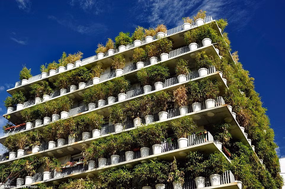 Mỗi tầng của tòa nhà được trồng 380 cây trúc xanh tươi.