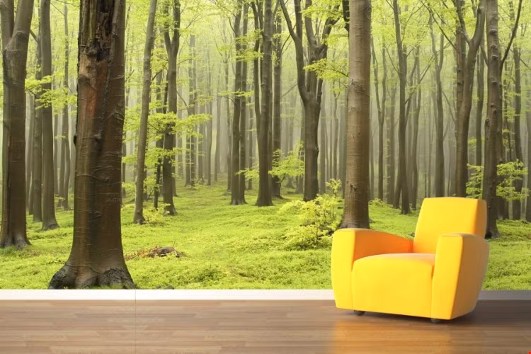 Ngoài ra, bạn cũng có thể lựa chọn một tấm giấy dán tường với chủ đề một rừng cây xanh mát như thế này.