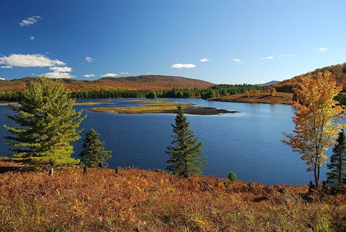 Tỷ phú Jack Ma - nhà sáng lập kiêm Chủ tịch Alibaba đã chi 23 triệu USD mua một bất động sản tại New York (Mỹ) có cơ sở làm syro lá phong, một nhà gỗ từ thập niên 40 và một dòng suối đầy cá hồi. Tháng 12 này, Alibaba lại chi 266 triệu USD mua nhật báo Hong Kong (Trung Quốc) – SCMP.