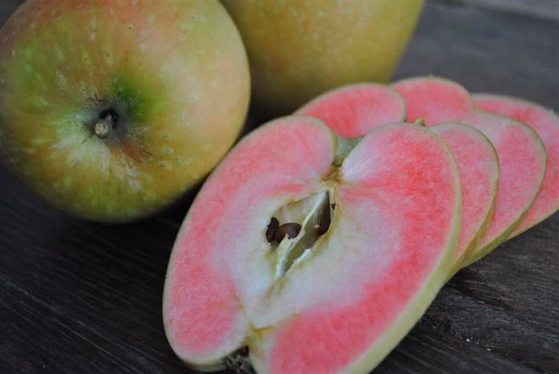 Trái với vỏ ngoài màu xanh vàng, lõi táo có màu hồng sẫm rất bắt mắt.