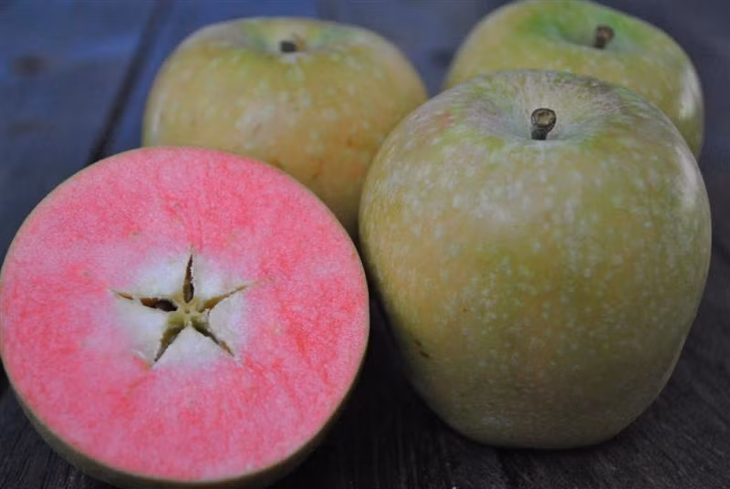 Thịt táo rất giòn và hương vị chua ngọt khiến các bà nội trợ mê mẩn. Giống táo này ngoài để ăn trực tiếp còn được sử dụng làm bánh.